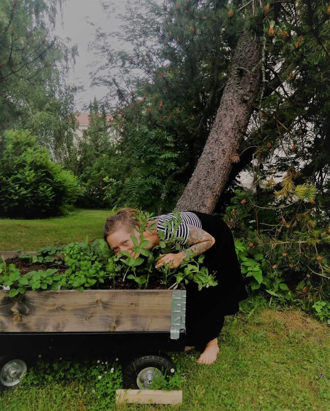 Yrittäjät yrityksen takana, Hanna