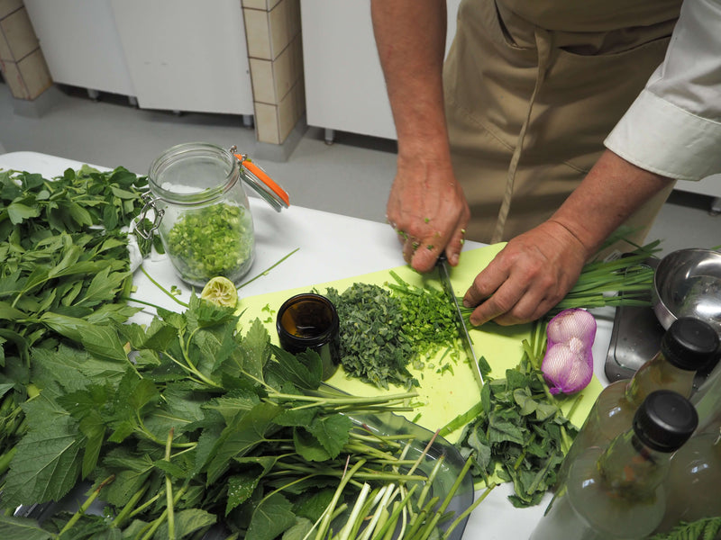 Fermentoitu maitohorsma ja tulsi Go-Rento