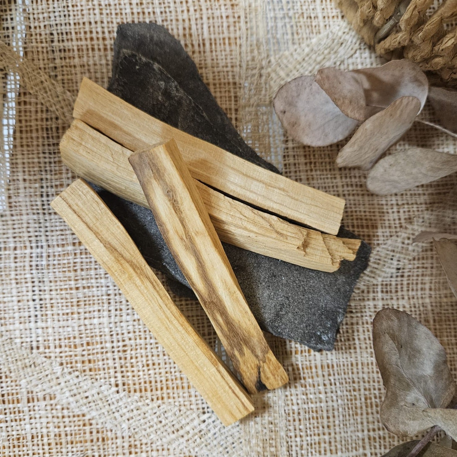 Palo santo puu