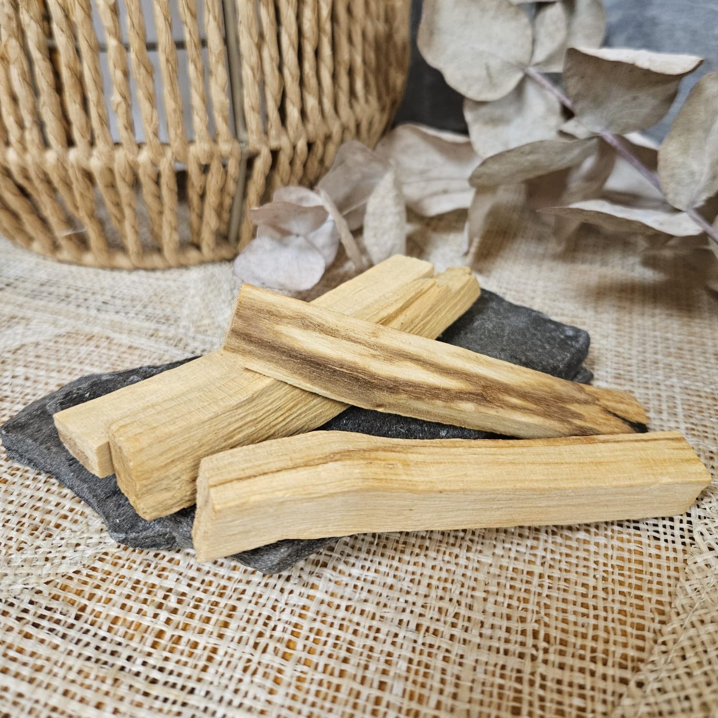 Palo santo puu